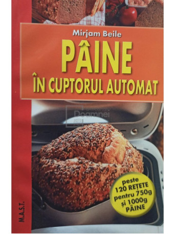 Paine in cuptorul automat