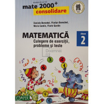 Matematica. Culegere de exercitii, probleme si teste, clasa a II-a