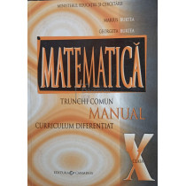 Matematica - Manual pentru clasa a X-a