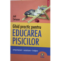 Ghid practic pentru educarea pisicilor