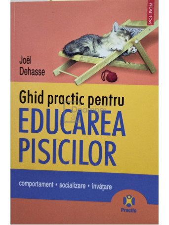 Ghid practic pentru educarea pisicilor