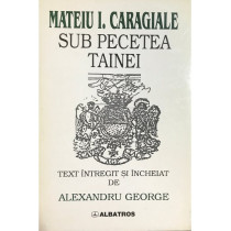 Sub pecetea tainei