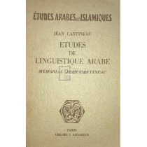 Etudes de linguistique arabe