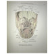 Atlas of human anatomy