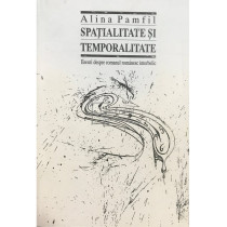 Spatialitate si temporalitate