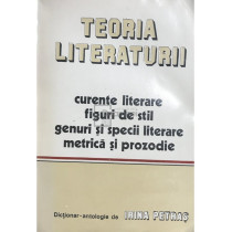 Teoria literaturii