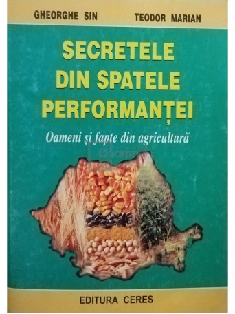 Gheorghe Sin - Secretele din spatele performantei - 2002 - Brosata