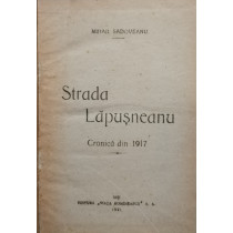 Strada Lapusneanu. Cronica din 1917