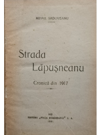 Strada Lapusneanu. Cronica din 1917