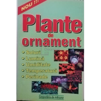 Plante de ornament