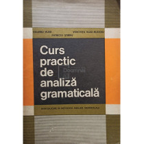 Curs practic de analiza gramaticala