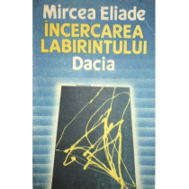 Incercarea labirintului