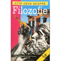 Cate ceva despre filozofie