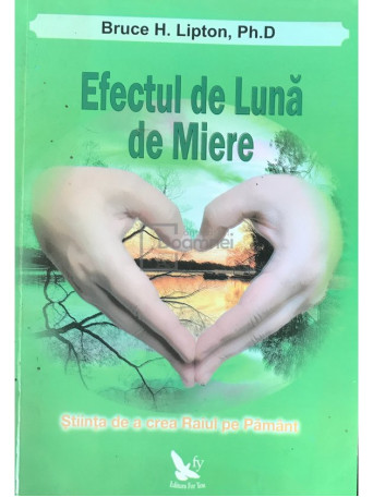 Efectul de Luna de Miere