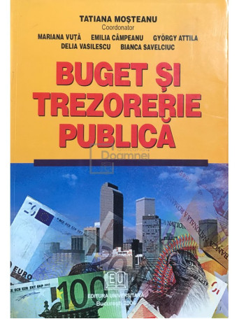 Tatiana Mosteanu - Buget si trezorerie publica - 2004 - Brosata