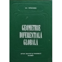 Geometrie diferentiala globala