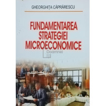 Fundamentarea strategiei microeconomice