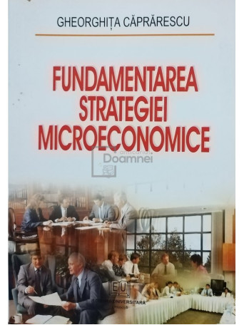 Gheorghita Caprarescu - Fundamentarea strategiei microeconomice - 2006 - Brosata