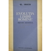 Evolutia limbii romane, privire sintetica