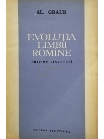 Evolutia limbii romane, privire sintetica