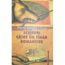 Scrisori catre un tanar romancier