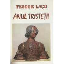 Anul tristetii