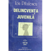 Delincventa juvenila