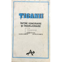 Tiganii. Intre ignorare si ingrijorare