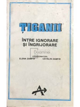 Tiganii. Intre ignorare si ingrijorare