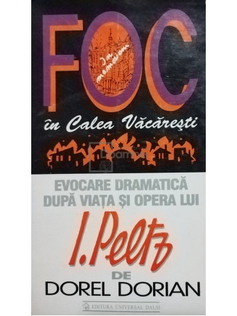 Foc in Calea Vacaresti