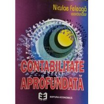 Contabilitate aprofundata