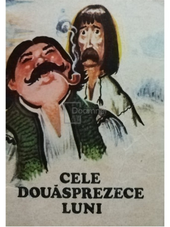 Cele douasprezece luni