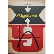 Algebra - Manual pentru anul I licee