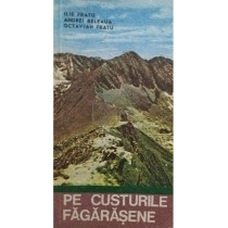 Pe custurile Fagarasene