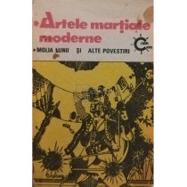 Artele martiale moderne