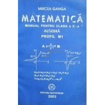 Matematica. Manual pentru clasa a Xa. Algebra M1