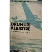 Drumuri albastre - Insemnarile unui pilot