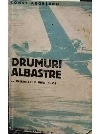 Drumuri albastre - Insemnarile unui pilot