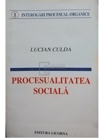 Procesualitatea sociala