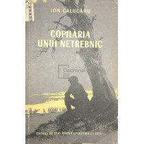 Copilaria unui netrebnic