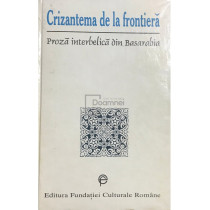 Crizantema de la frontiera