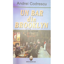 Un bar din Brooklyn