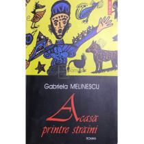 Acasa printre straini