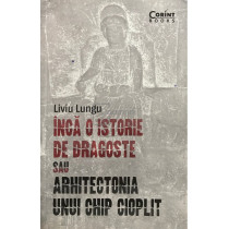 Inca o istorie de dragoste sau arhitectonia unui chip cioplit