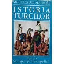 Istoria turcilor