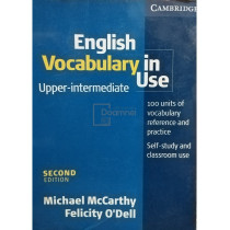 English Vocabulary in Use , Upper-intermediate