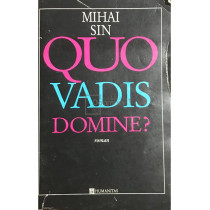 Quo vadis domine?