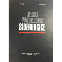 Teoria proceselor siderurgice