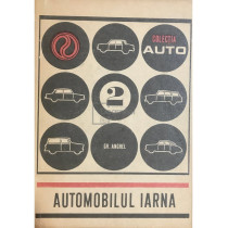 Automobilul iarna