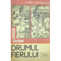 Drumul fierului